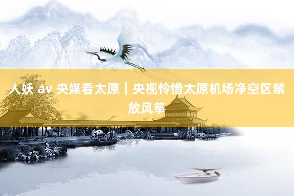人妖 av 央媒看太原｜央视怜惜太原机场净空区禁放风筝