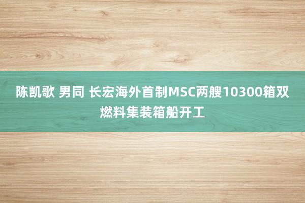 陈凯歌 男同 长宏海外首制MSC两艘10300箱双燃料集装箱船开工