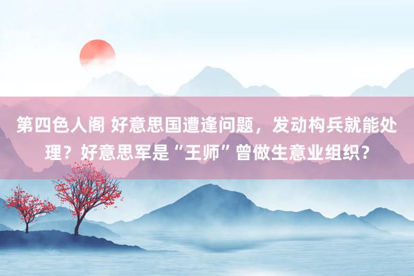 第四色人阁 好意思国遭逢问题，发动构兵就能处理？好意思军是“王师”曾做生意业组织？