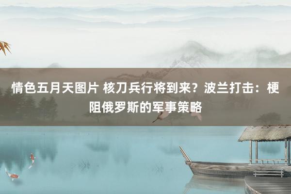 情色五月天图片 核刀兵行将到来？波兰打击：梗阻俄罗斯的军事策略