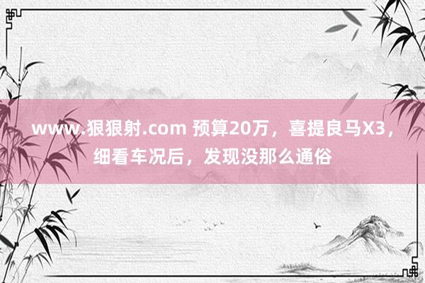 www.狠狠射.com 预算20万，喜提良马X3，细看车况后，发现没那么通俗