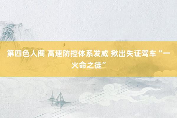 第四色人阁 高速防控体系发威 揪出失证驾车“一火命之徒”
