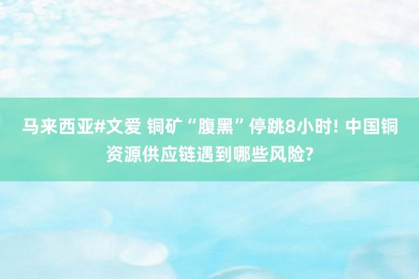 马来西亚#文爱 铜矿“腹黑”停跳8小时! 中国铜资源供应链遇到哪些风险?
