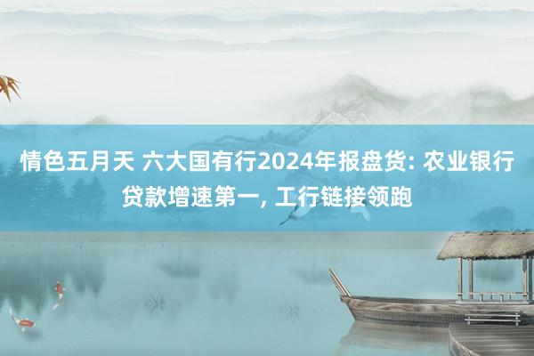 情色五月天 六大国有行2024年报盘货: 农业银行贷款增速第一， 工行链接领跑