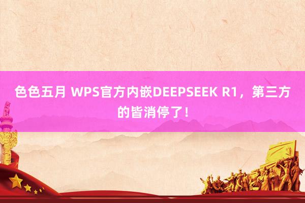 色色五月 WPS官方内嵌DEEPSEEK R1，第三方的皆消停了！
